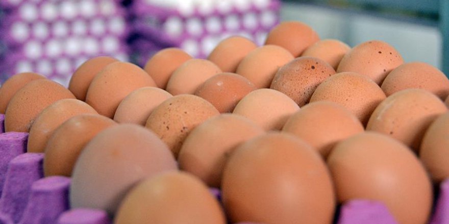 Yumurtaya 'yetiştirme şekli' damgası