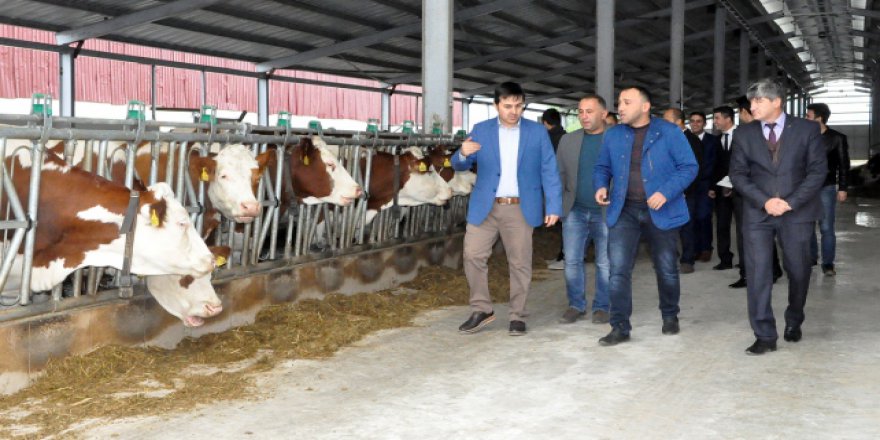 TKDK, 6 yılda 57 bin kişiye istihdam sağladı