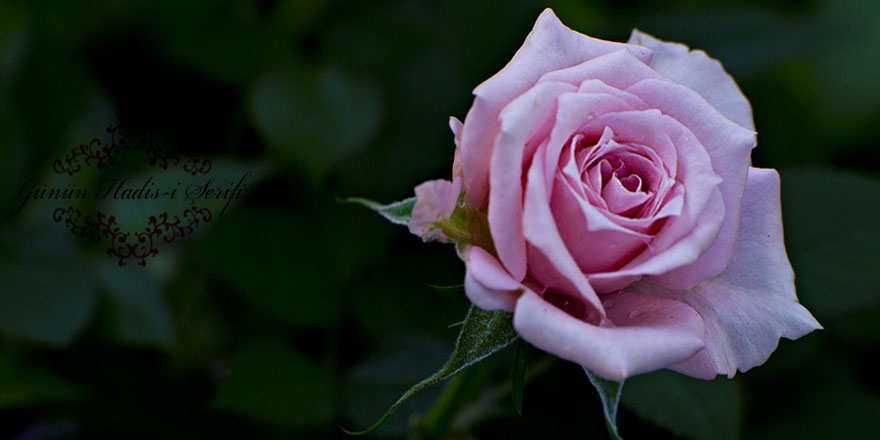 Ramazan bayramını Lâ ilahe îlllallah, Allâhü ekber, Elhamdülillah ve Sübhanallahlarla süsleyiniz