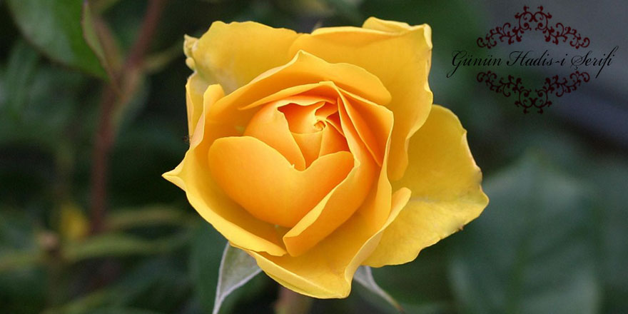 Regaip Kandili ile ilgili hadisler | Regaip Kandili'nin önemi nedir?