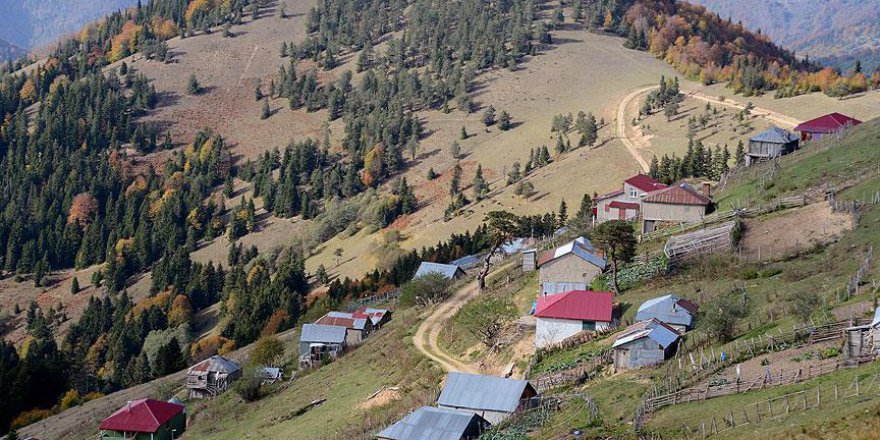 Giresun yaylaları sonbahar renkleriyle cezbediyor