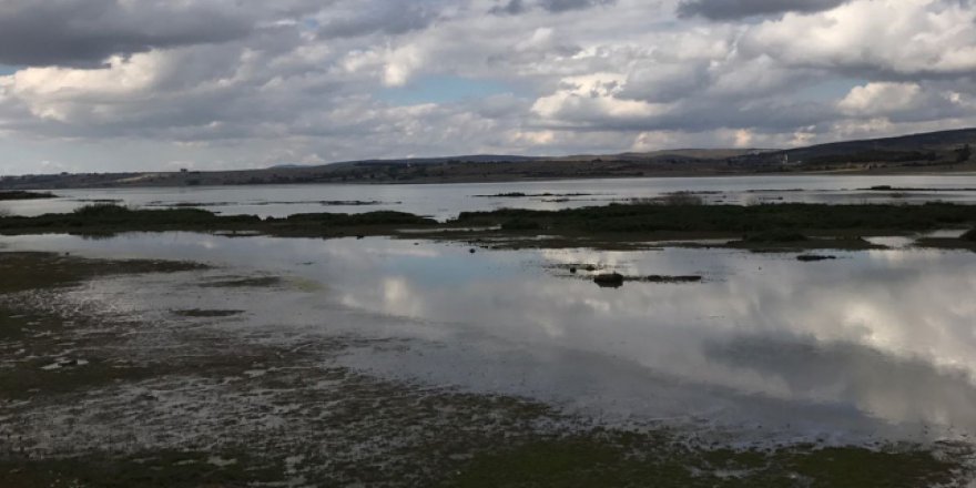 Ladik Gölü kuruma tehlikesiyle karşı karşıya