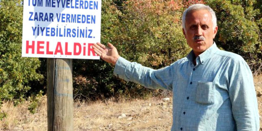 Yol üstündeki ağaçlardan meyve yemek tek şartla helal!