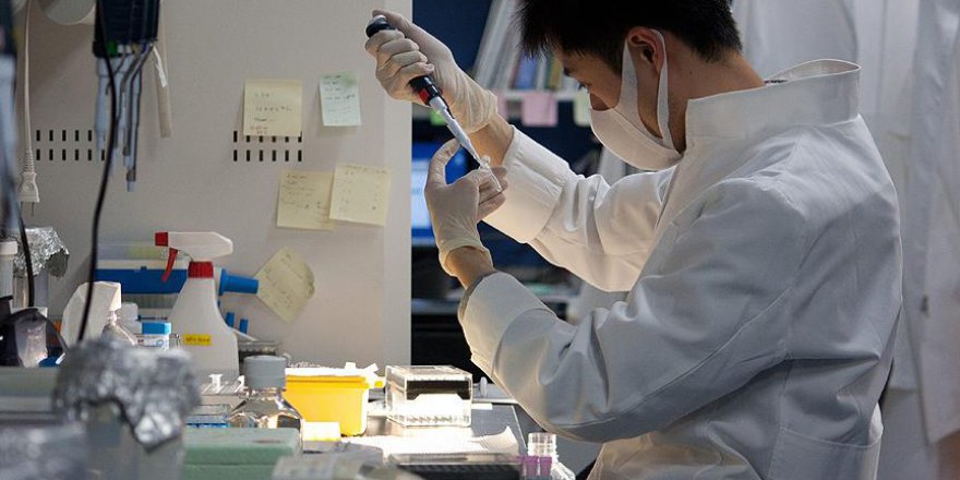 Yapay zeka ile bir saniyeden kısa sürede kanser teşhisi