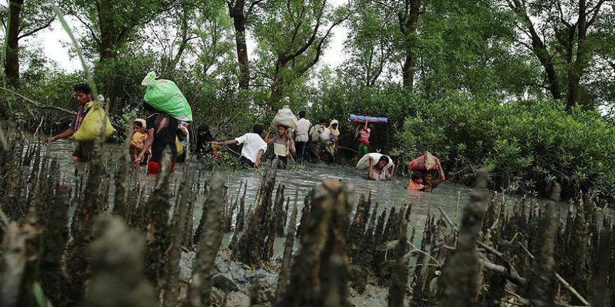 'Yaşananlar İslamofobiden ziyade Rohingyafobi meselesi'