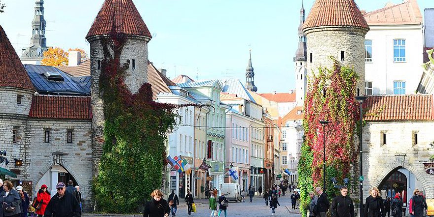 Estonya 'topraksız' ülke olmaya hazırlanıyor
