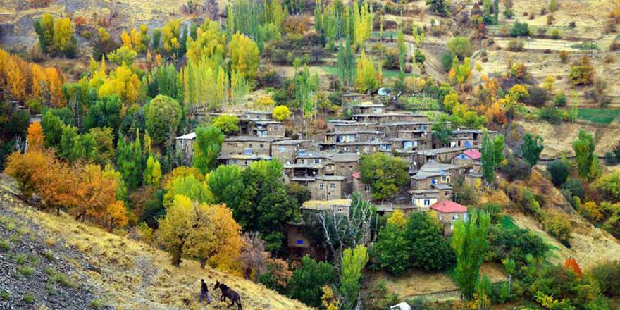 Bediüzzaman'ın ilçesinde fotosafari heyecanı