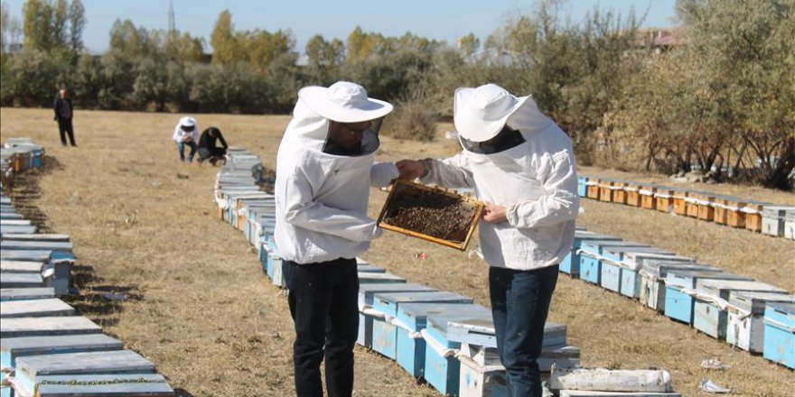 Van'da bal üretiminde 400 ton artış