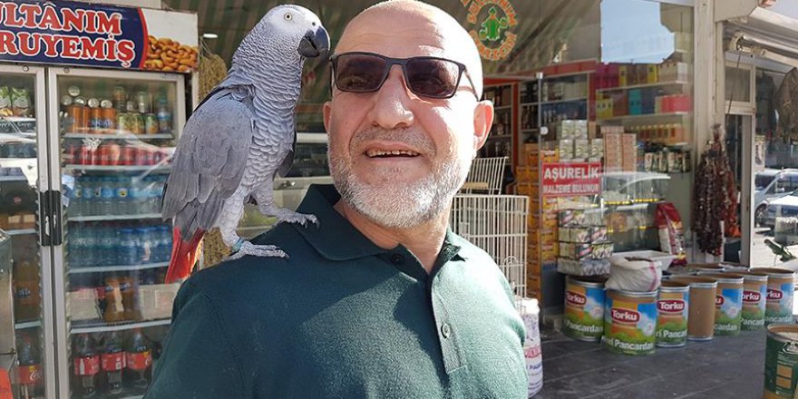 Umre'ye giderken papağanı da yanına alıyor