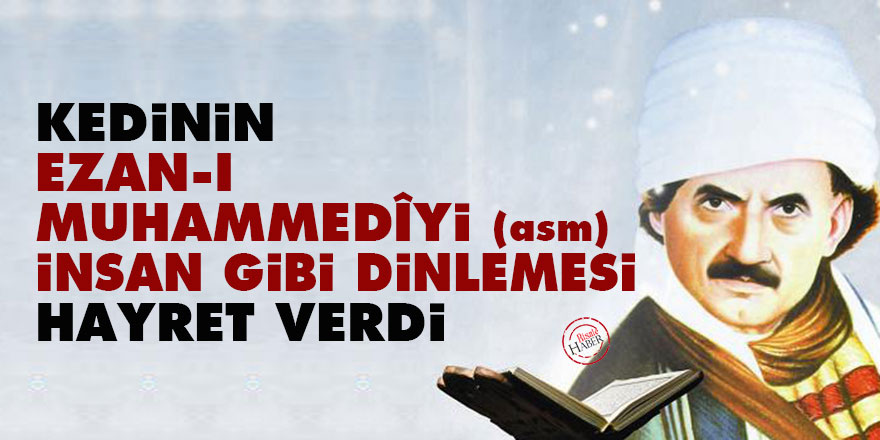 Bediüzzaman: Kedinin ezan-ı Muhammedîyi (asm) insan gibi dinlemesi hayret verdi