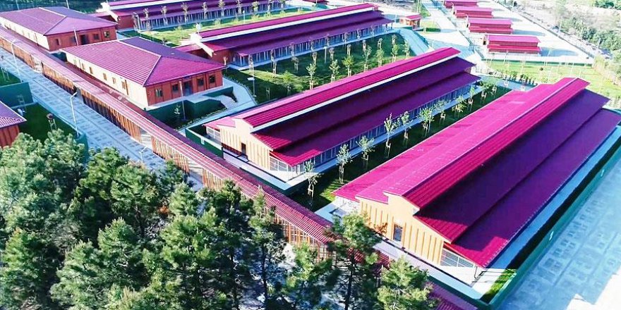 İstanbul'a yeni hayvan bakımevi