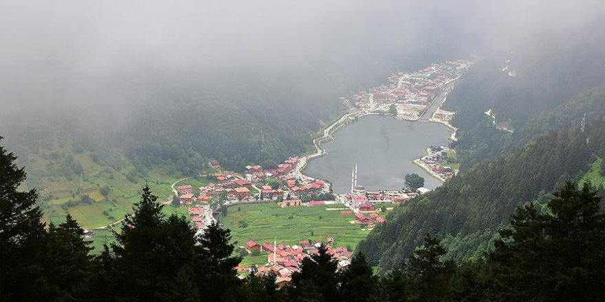 'Uzungöl Tabiat Macera Parkı'nın yapımına başlandı