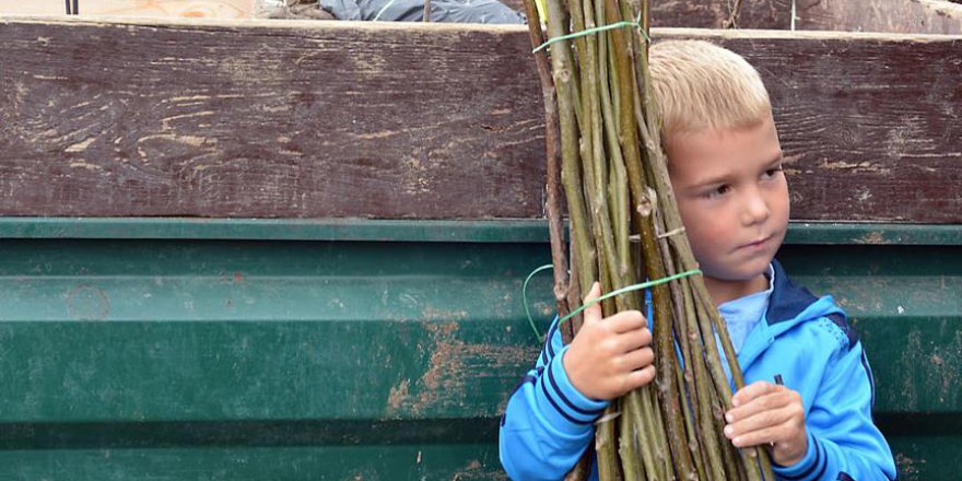 TİKA'dan Bosnalı ailelere ceviz fidesi desteği