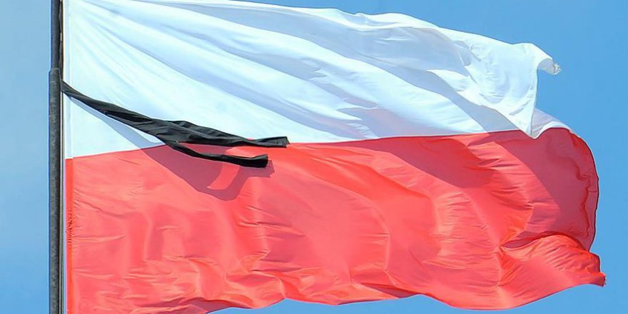 Polonya Almanya'dan tazminat talep edecek