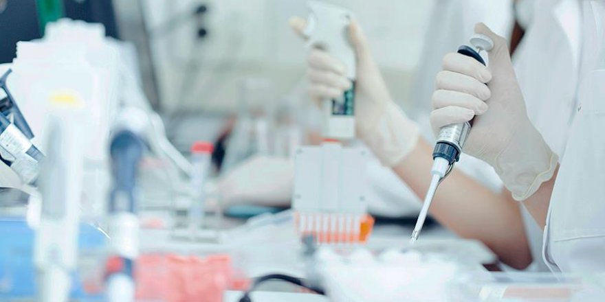 Tüberküloz tedavisinde yeni keşif