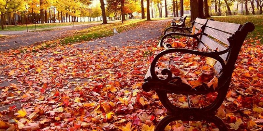 Doğu Anadolu'da sıcaklık mevsim normallerinin üzerinde