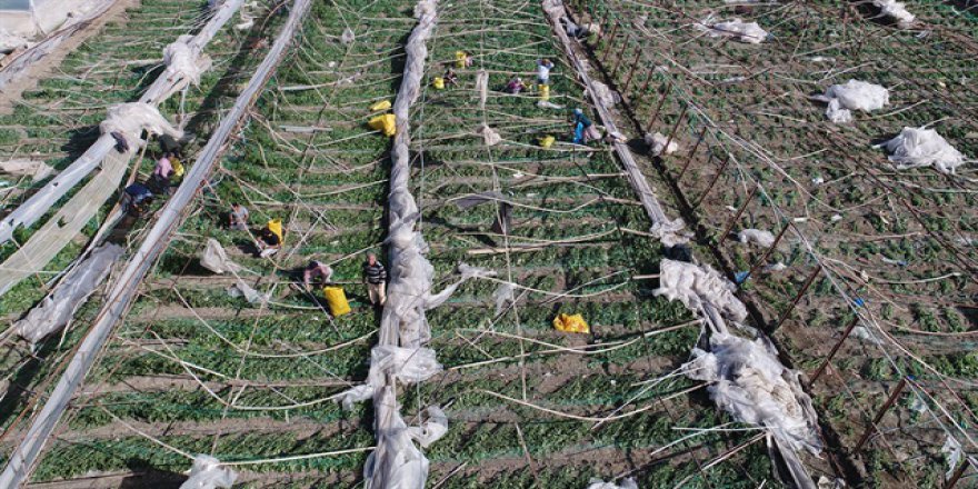 Antalya'daki hortumun faturası 10 milyon TL'yi aşacak