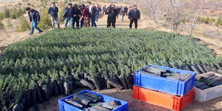 Üniversite öğrencilerinden her ilde her şehit için bir fidan