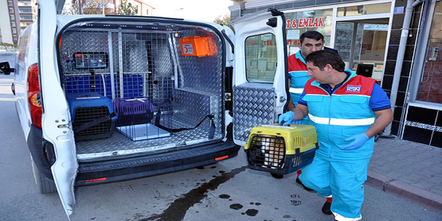 Ambulans şoförü, aracın giremediği yolda hastayı sırtında taşıdı