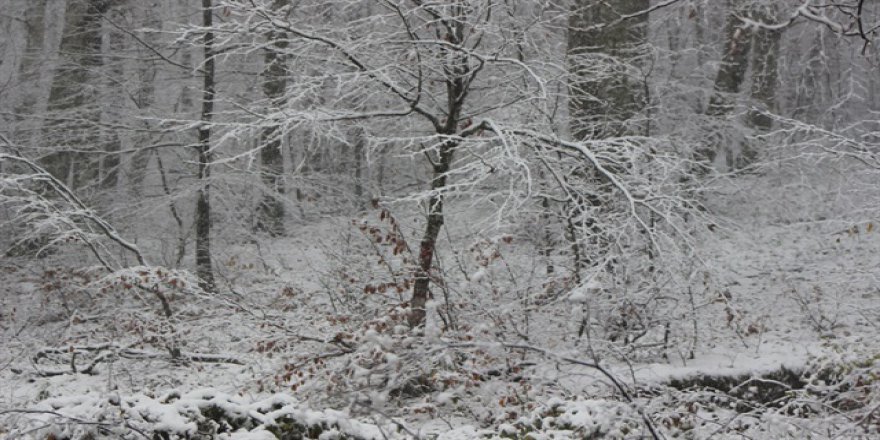 Kırklareli'nde kar kalınlığı 7 santimetreye ulaştı