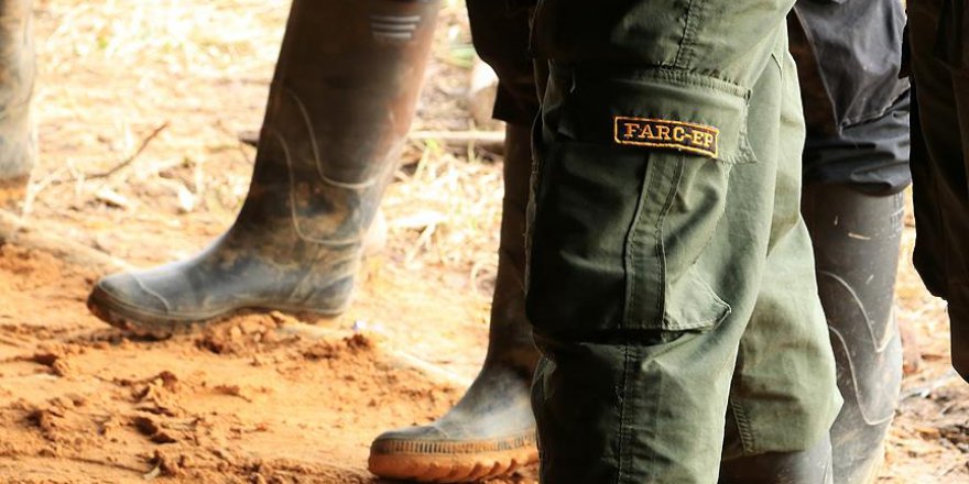 Kolombiya'da hükümet ve FARC arasındaki barış birinci yılını doldurdu