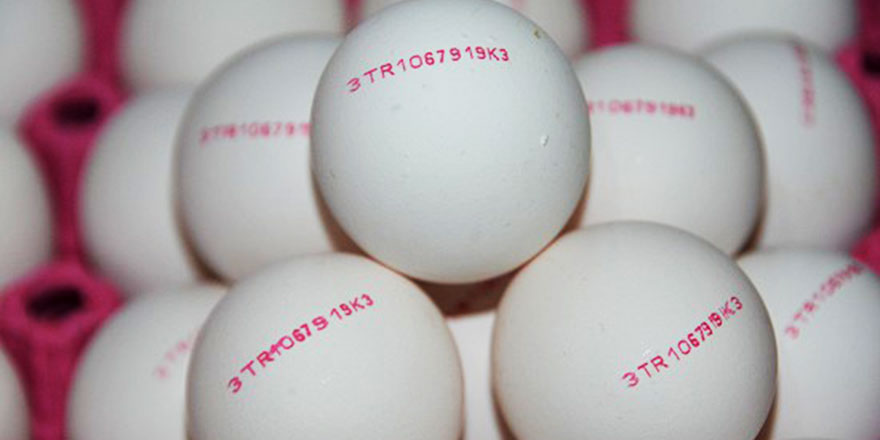 Yumurta üzerindeki bu numaralara dikkat