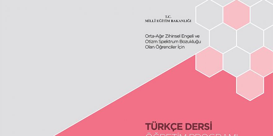 Otizmli çocuklar 'Türkçeleri' ile engelleri aşacak