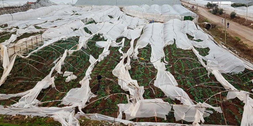 Başbakan Yıldırım’dan çiftçilere zor gün desteği