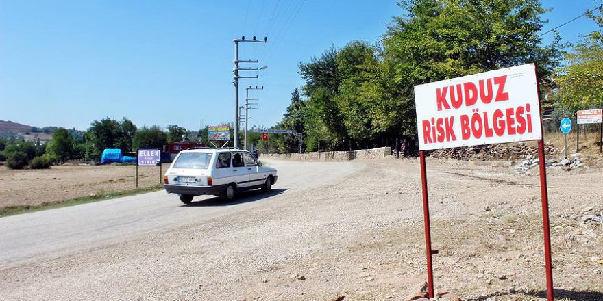 Kuduzla mücadeleye uçaklar da katılacak