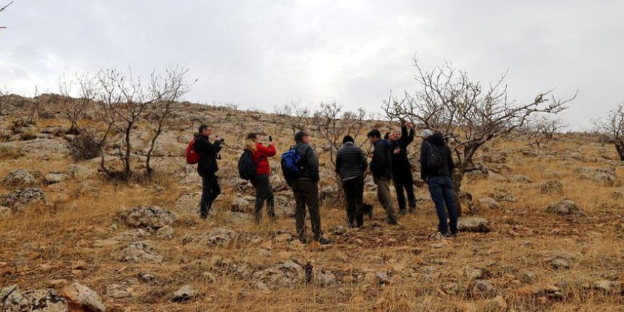 Türkiye'nin bozkırları korumaya alınıyor