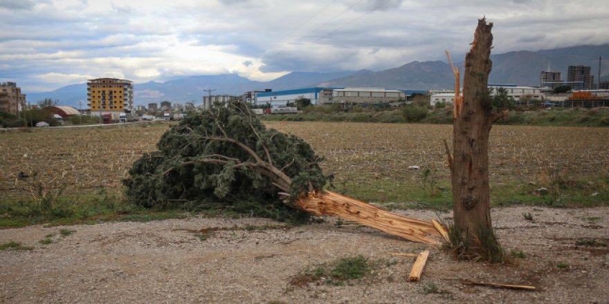 Şiddetli fırtına elektrik direklerini ve ağaçları devirdi, çatıları uçurdu