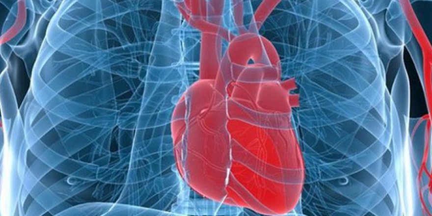 Kalp yetersizliğinde erken teşhis önemli