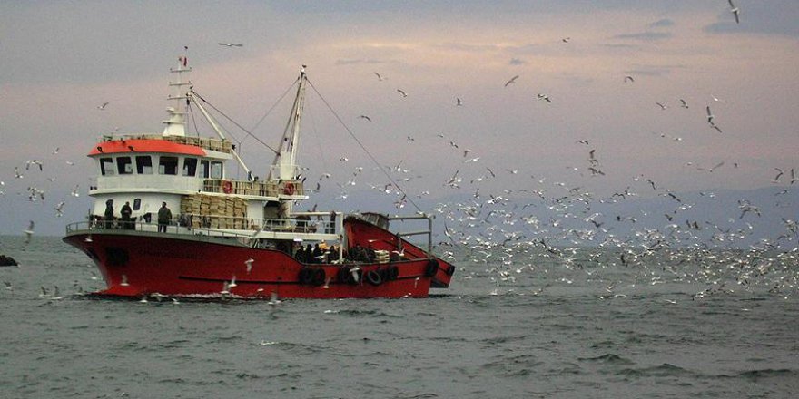 Türk tekneleri kaçan hamsinin peşine düştü