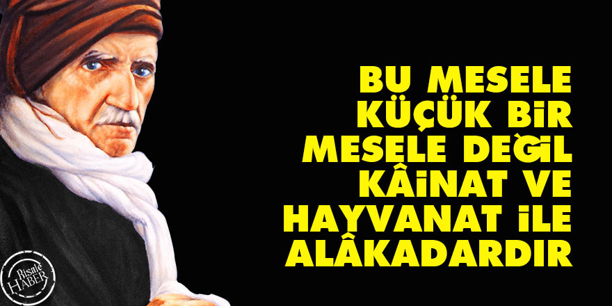 Bediüzzaman: Bu mesele, küçük bir mesele değil kâinat ve hayvanat ile alâkadardır