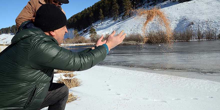 Duyarlı esnaf yaban hayvanlarını unutmadı