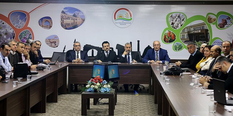 Şanlıurfa'da organik şeker üretimi yapılacak