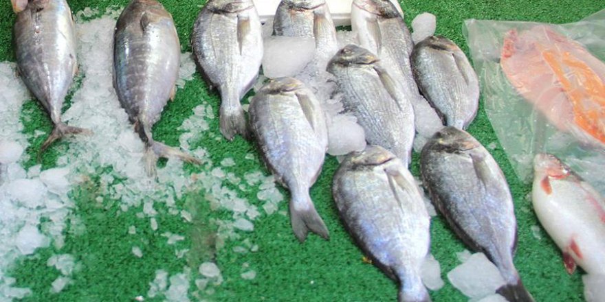 Güvenilir balık için 'etiketli' formül