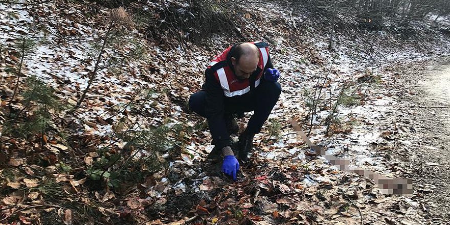Kastamonu'da evleri yanan aileyi arama çalışmalarında gelişme