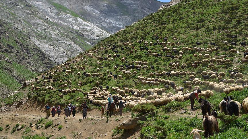 Doğudaki yaylalar baharı bekliyor