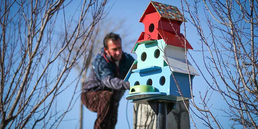 Kuşlar için ilçeyi yuvalarla donattılar