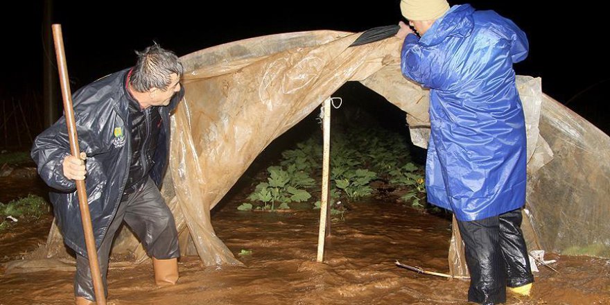 Muğla'da şiddetli yağış tarım arazilerini vurdu