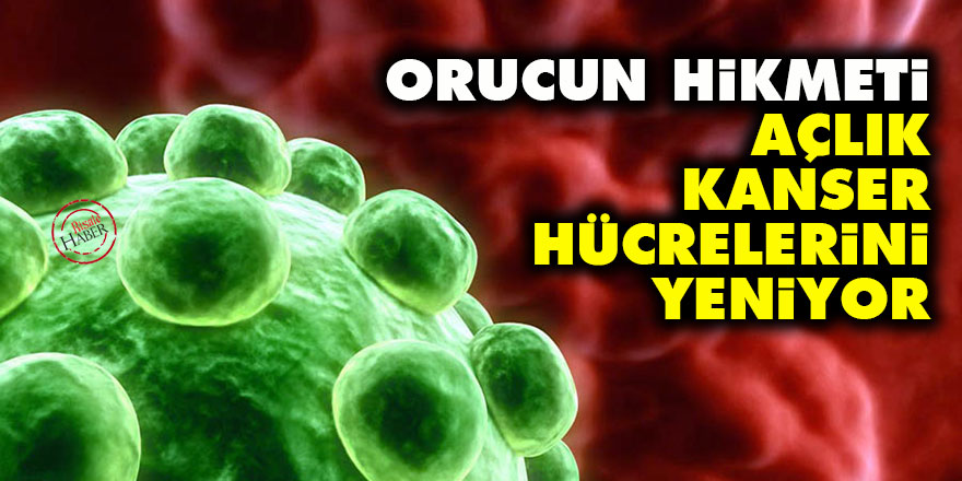 Orucun hikmeti: Açlık, kanser hücrelerini yeniyor