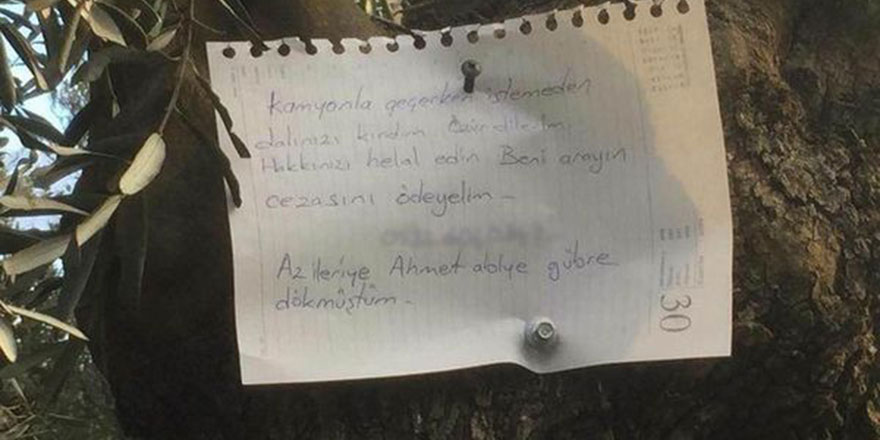 Bu notu ancak kull hakkını bilen yazar