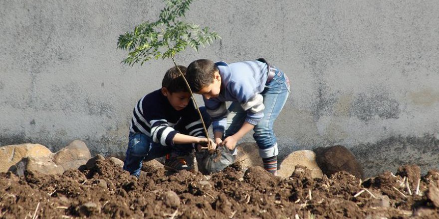 Humus'ta çocuklar 'umut dikiyor'