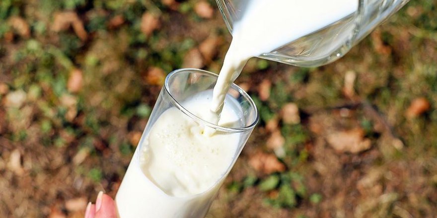 Çin'e süt ihracatı için anlaşmayı sağladık