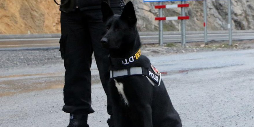 'Alfi' kaçakçıların korkulu rüyası olacak