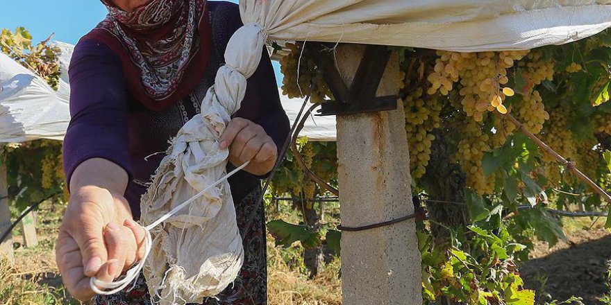 Tarım sigortalarında kadınlara ve gençlere yüzde 5 indirim müjdesi