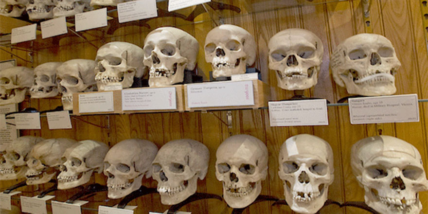 Cezayir Fransa'dan direnişçilerin kafataslarını ve ulusal arşivini istedi