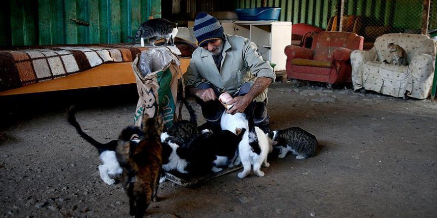 Sokak hayvanlarının fedakar dostu