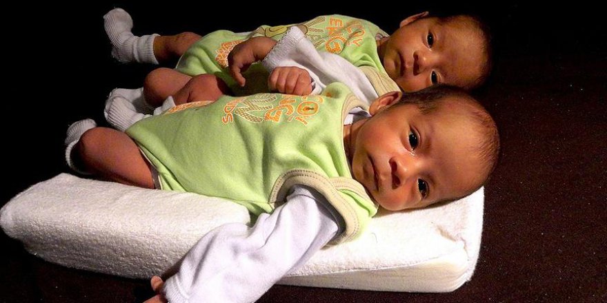 Tek yumurta ikizleri moleküler açıdan da benzer